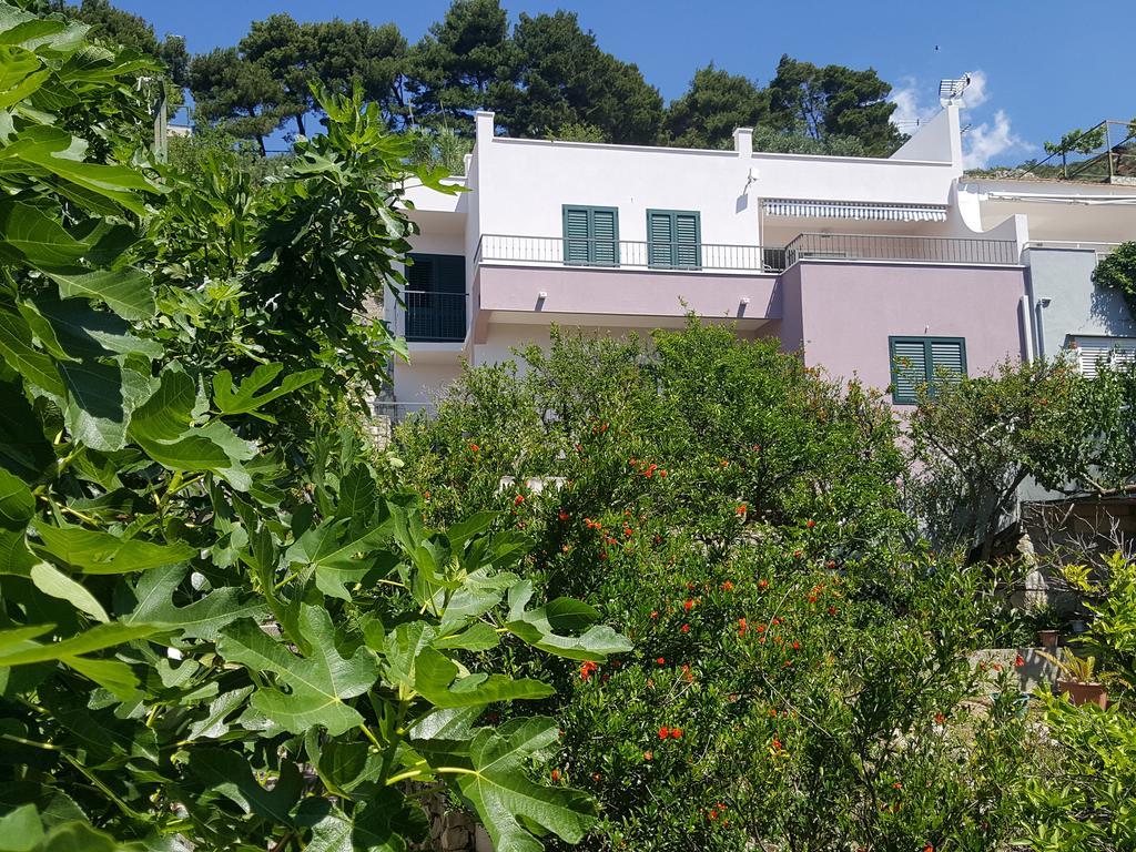 Apartments Pero Podgora Exterior photo